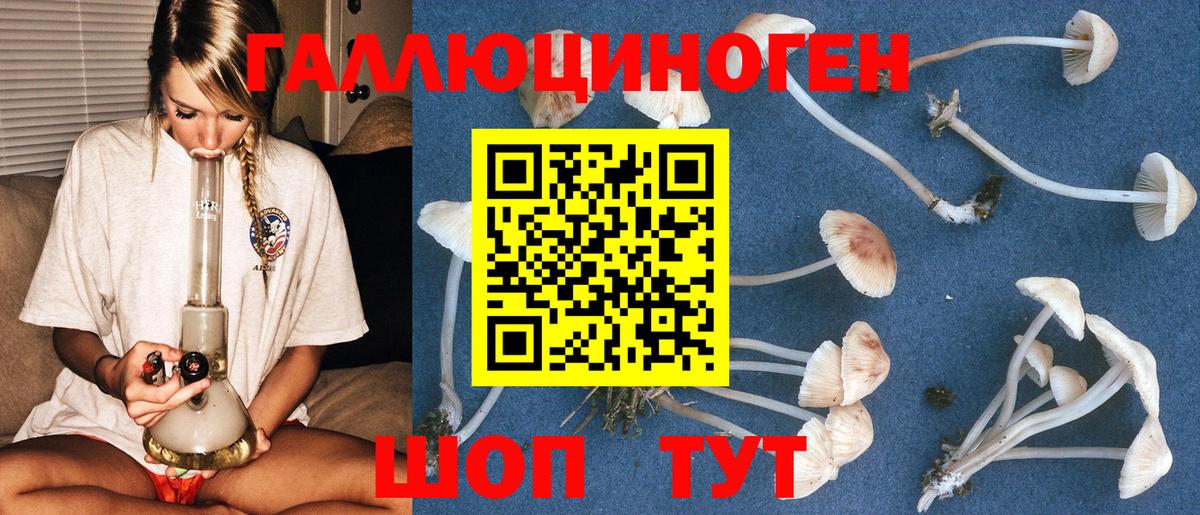 Псилоцибиновые грибы мухоморы  купить наркотики цена  Кропоткин  Вход с VPN 